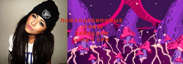 сатива Пролетарск