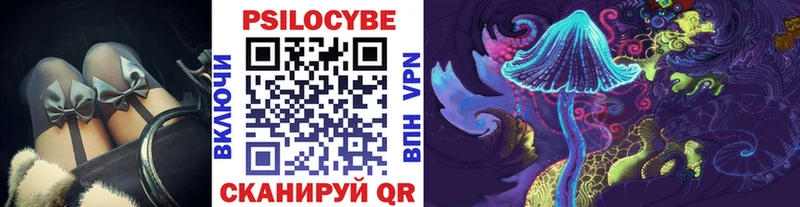 сайты даркнета как зайти  Шебекино  Галлюциногенные грибы Psilocybe 